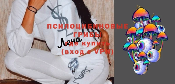 ГАЛЛЮЦИНОГЕННЫЕ ГРИБЫ Михайлов