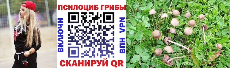Галлюциногенные грибы Cubensis  Невельск 